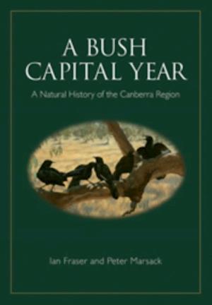 Bush Capital Year