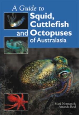 Guide to Squid, Cuttlefish and Octopuses of Australasia