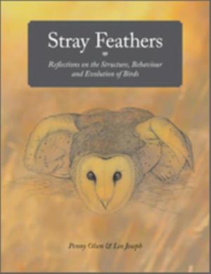 Stray Feathers