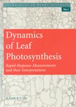 Dynamics of Leaf Photosynthesis