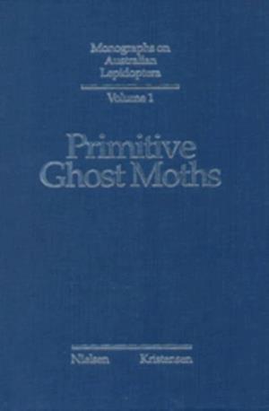 Primitive Ghost Moths