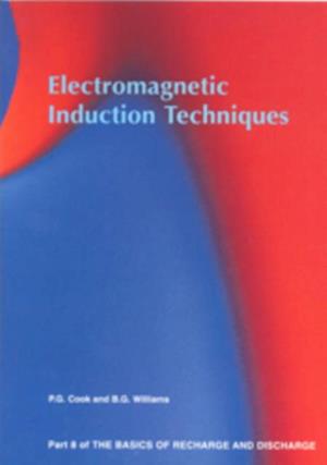 Electromagnetic Induction Techniques - Part 8