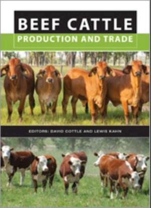 Beef Cattle Production and Trade