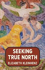 Seeking True North 