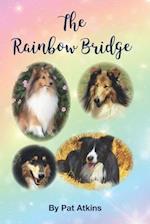 The Rainbow Bridge: This is the story of the many dogs in my life. Of the tears, trials, and triumphs... 