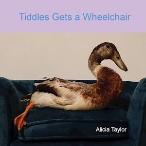 Tiddles Gets a Wheelchair