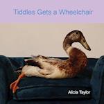 Tiddles Gets a Wheelchair