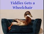 Tiddles Gets a Wheelchair