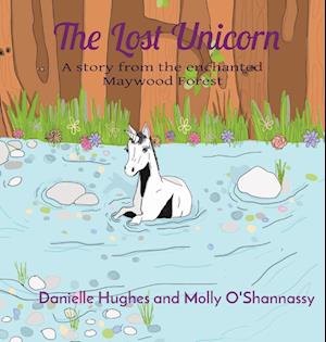 The Lost Unicorn