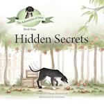 Hidden Secrets 