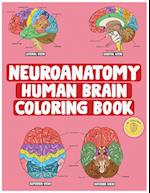 Neuroanatomy Human Brain Coloring Book