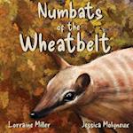 Numbats of the Wheatbelt 