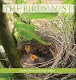 The Birds' Nest 
