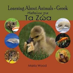 Learning About Animals- Greek