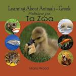 Learning About Animals- Greek