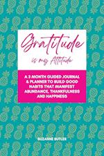 Gratitude is my Attitude