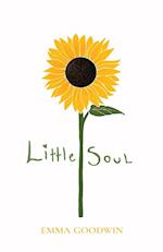 Little Soul 