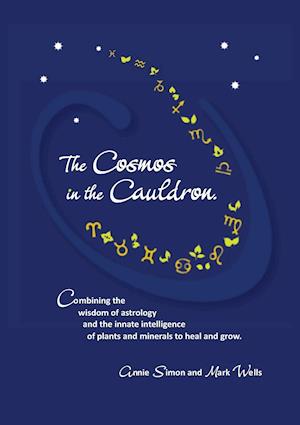 The Cosmos in the Cauldron