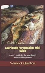 Sourdough Fermentation Mini Guide: A short guide to the sourdough fermentation process 