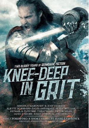 Knee-Deep in Grit: Two Bloody Years of Grimdark Ficiton