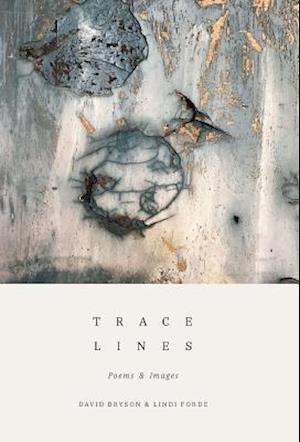 Trace Lines