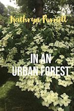 In an Urban Forest 