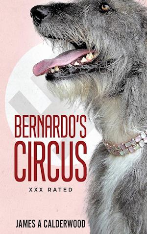 Bernado's Circus