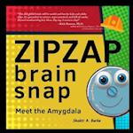 ZipZap Brain Snap: Meet the Amygdala 