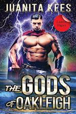 The Gods of Oakleigh (Large Print) 