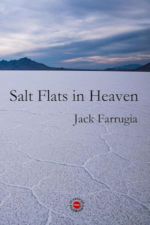 Salt Flats in Heaven