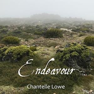 Endeavour: Anthology - Volume Three