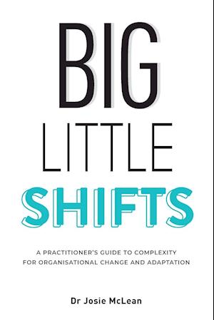 Big Little Shifts: A Practitioner's Guide to Complexity for Organisational Change and Adaptation