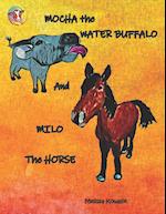 Mocha the Water Buffalo and Milo the Horse