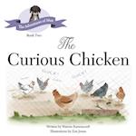 The Curious Chicken 
