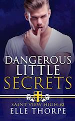 Dangerous Little Secrets 