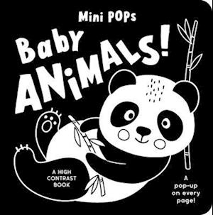 Baby Animals!