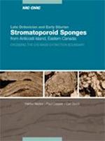 Late Ordovician and Early Silurian stromatoporoid sponges from Anticosti Island, eastern Canada