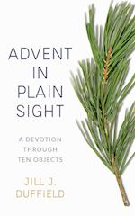 Advent in Plain Sight