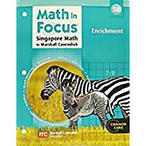 Math in Focus