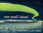 One Small Island