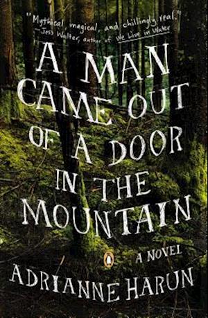 A Man Came Out of a Door in the Mountain