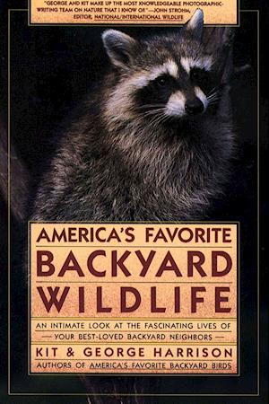 America's Favorite Backyard Wildlife