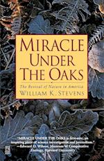 Miracle Under the Oaks