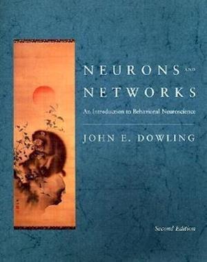 Neurons and Networks