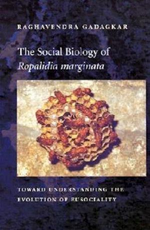 The Social Biology of Ropalidia marginata