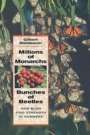 Millions of Monarchs, Bunches of Beetles
