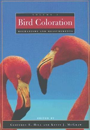 Bird Coloration