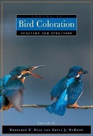 Bird Coloration