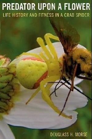 Predator upon a Flower