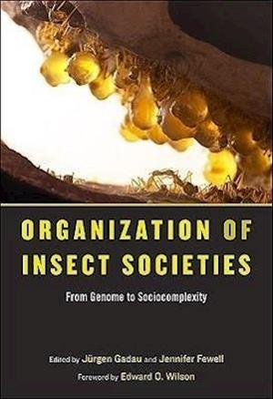 Organization of Insect Societies